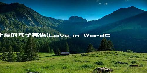 关于爱的句子英语(Love in Words Expressing Emotions Through Romantic Sentences)